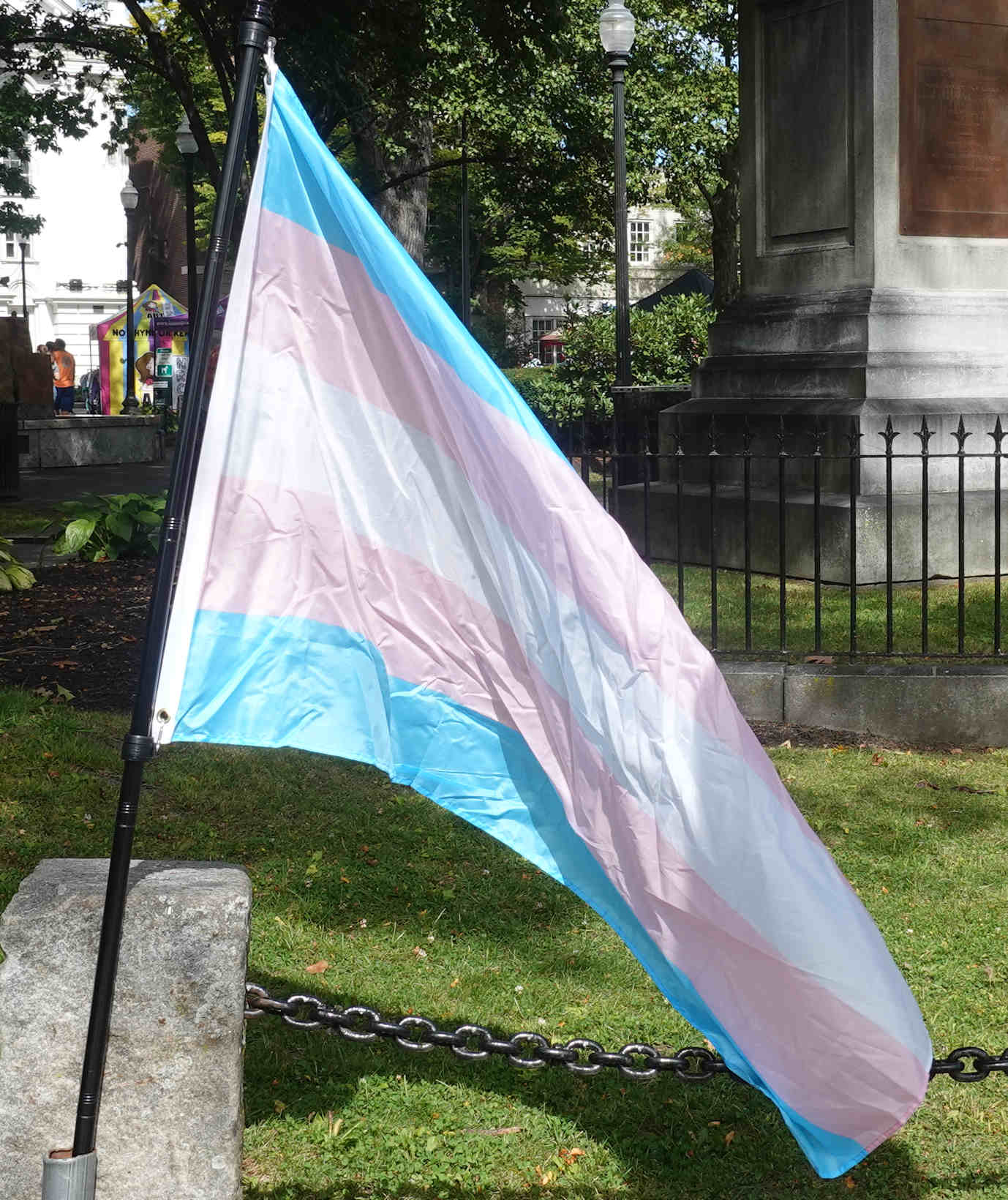 Transgender Flag